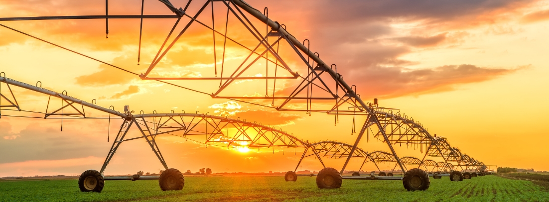 Fotografia de um sistema de irrigação agrícola automatizado ao pôr do sol